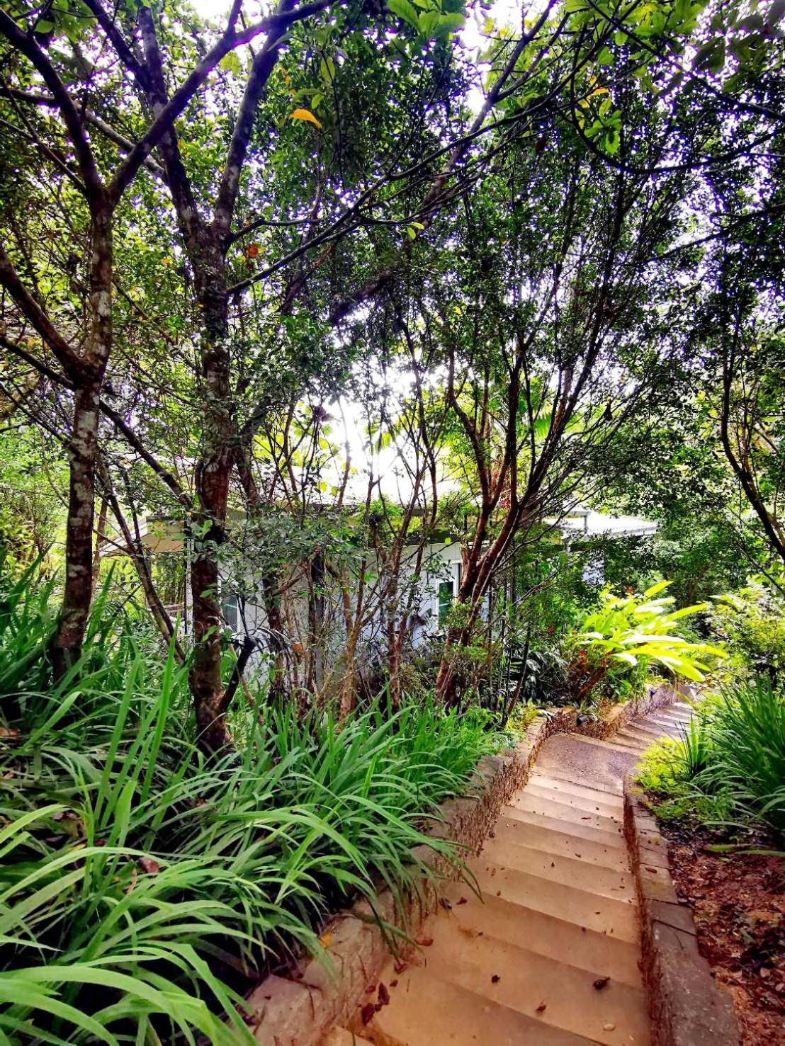 Bangnu Greenery Resort Takua Thung Exteriör bild