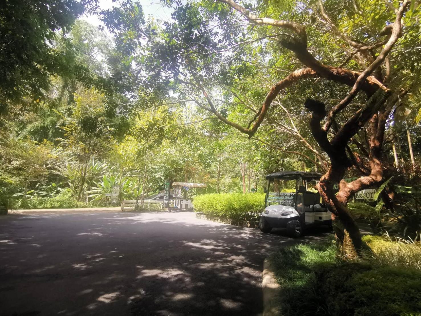 Bangnu Greenery Resort Takua Thung Exteriör bild
