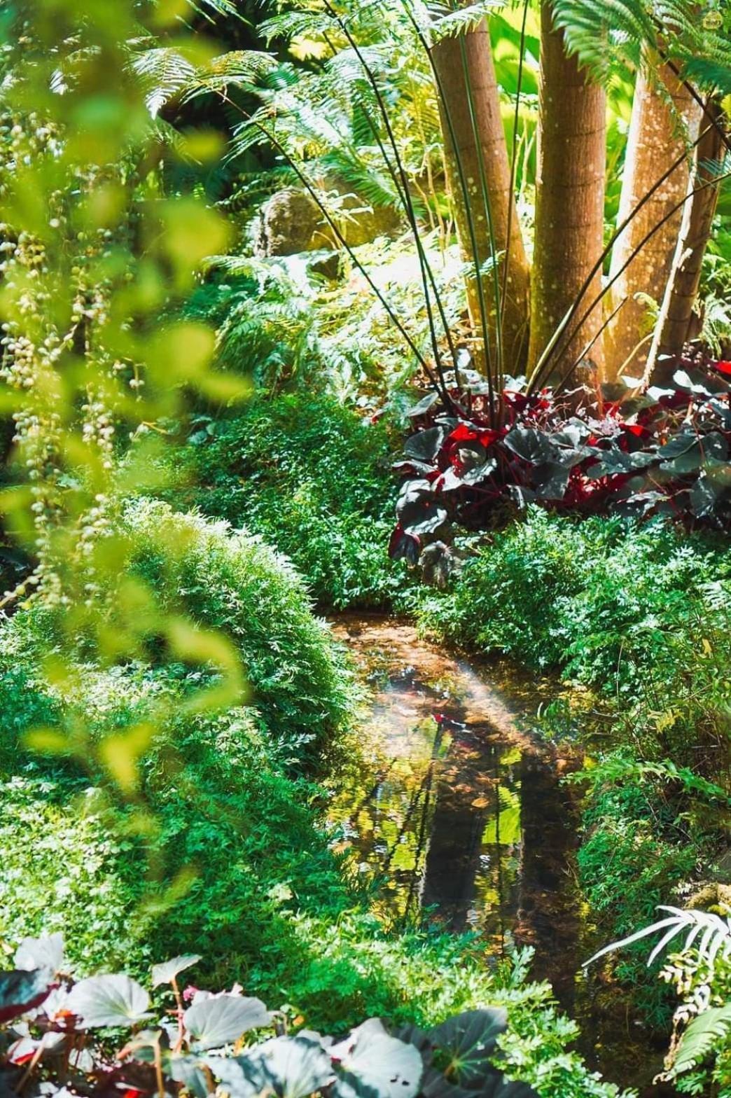 Bangnu Greenery Resort Takua Thung Exteriör bild