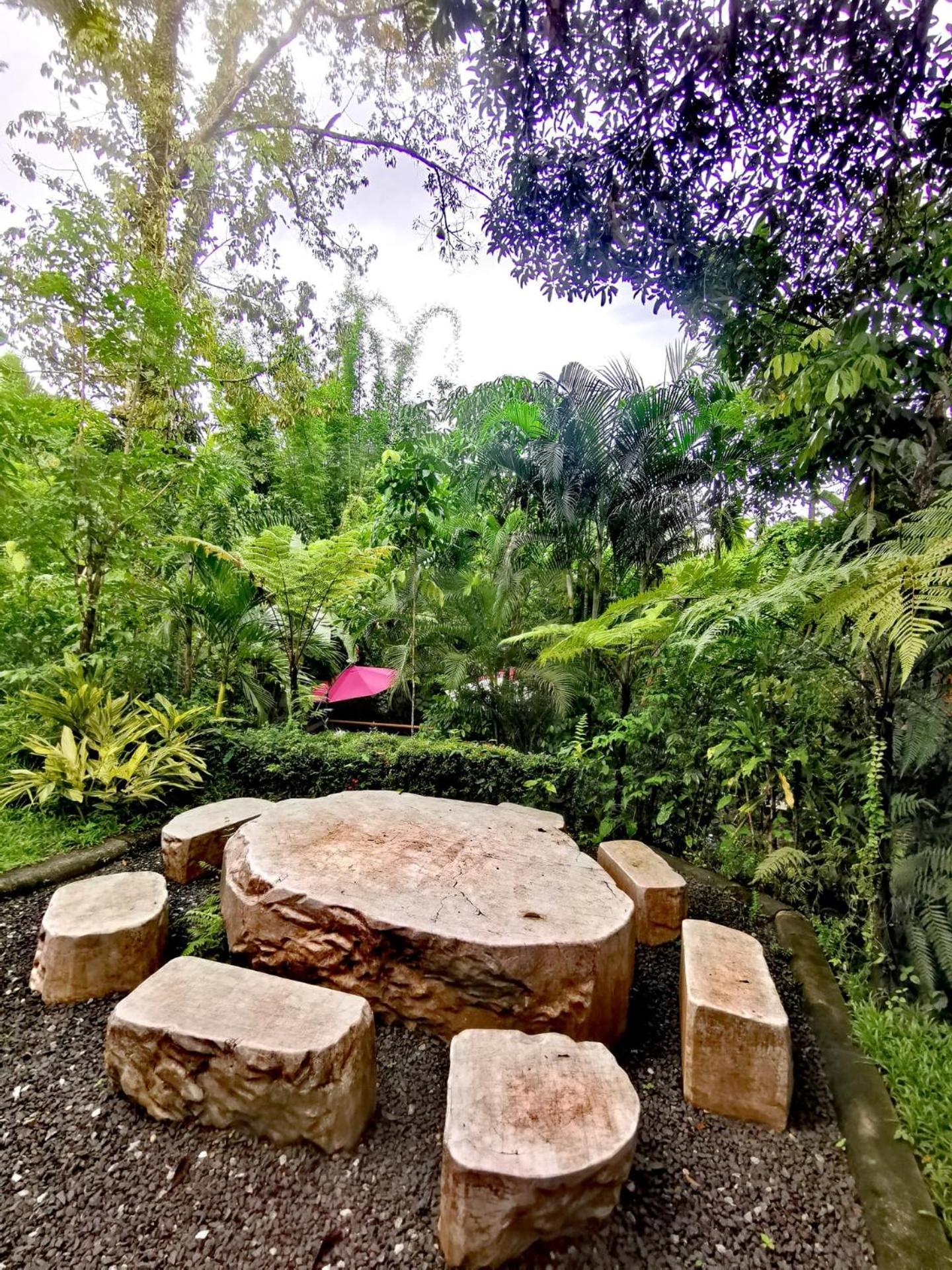 Bangnu Greenery Resort Takua Thung Exteriör bild