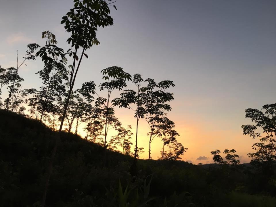 Bangnu Greenery Resort Takua Thung Exteriör bild