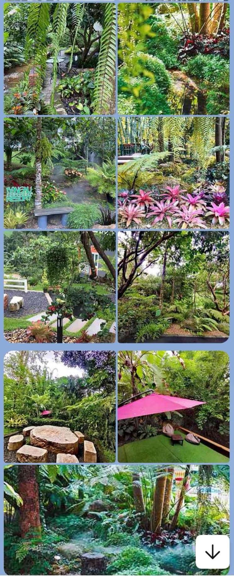 Bangnu Greenery Resort Takua Thung Exteriör bild